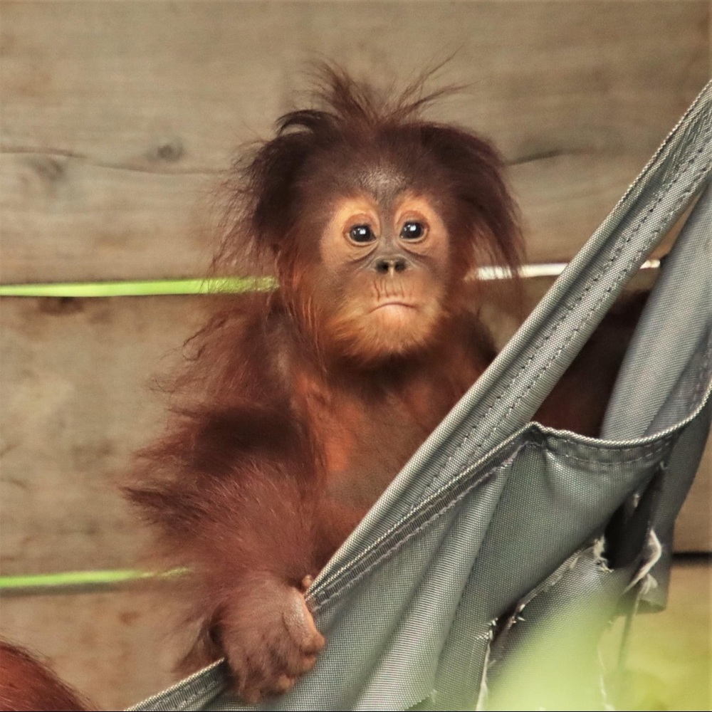 Meet your Posher, Matthew